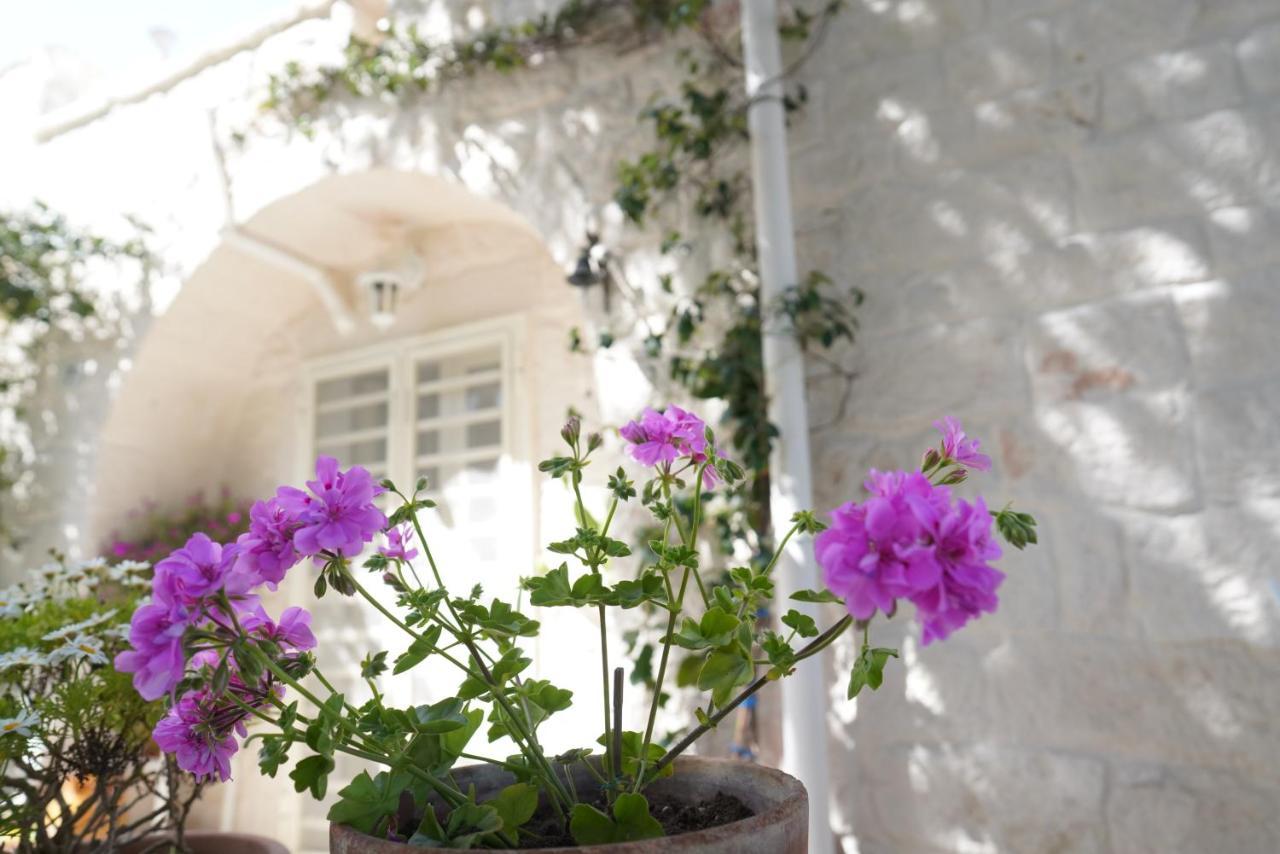 Trulli Di Puglia - Casa Vacanze In Valle D'Itria マルティナ・フランカ エクステリア 写真