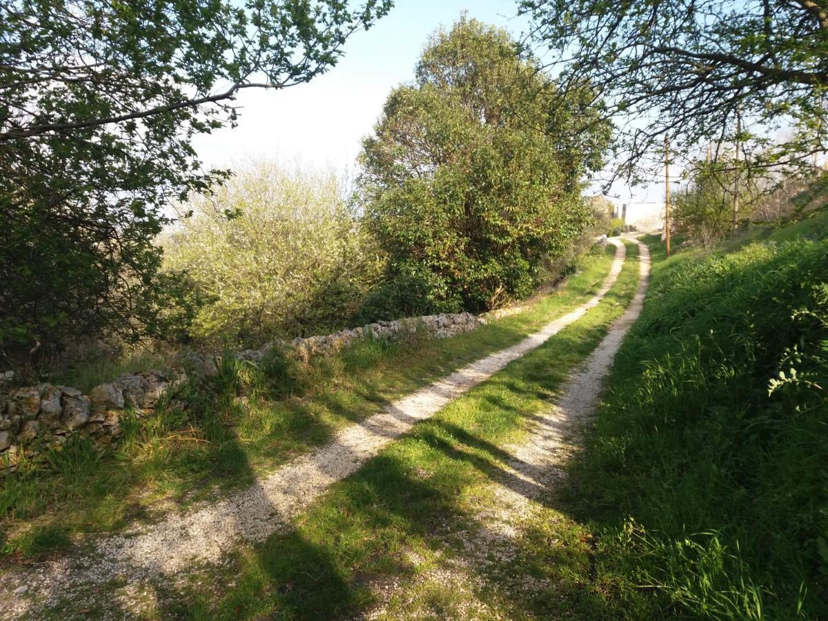 Trulli Di Puglia - Casa Vacanze In Valle D'Itria マルティナ・フランカ エクステリア 写真