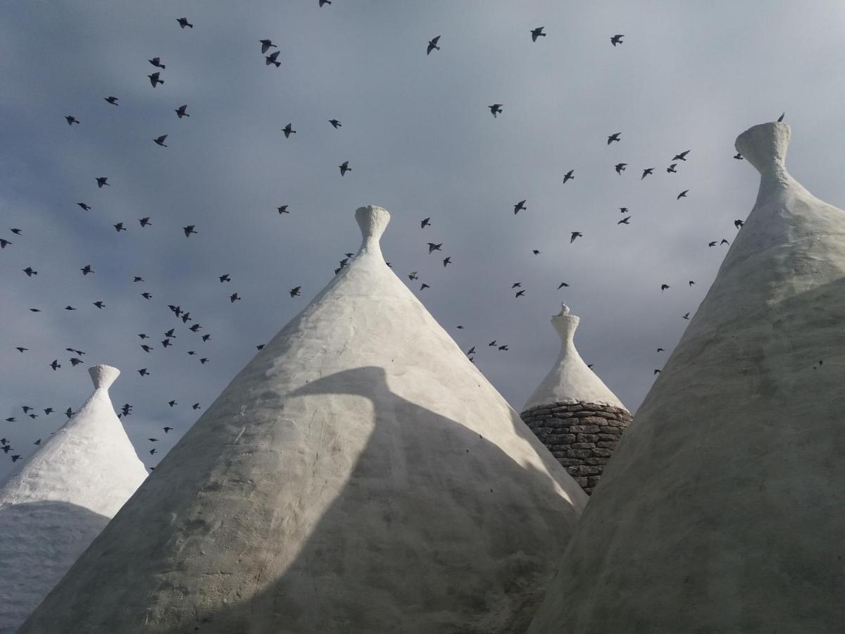 Trulli Di Puglia - Casa Vacanze In Valle D'Itria マルティナ・フランカ エクステリア 写真