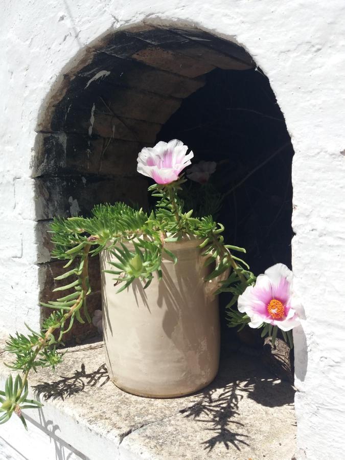 Trulli Di Puglia - Casa Vacanze In Valle D'Itria マルティナ・フランカ エクステリア 写真