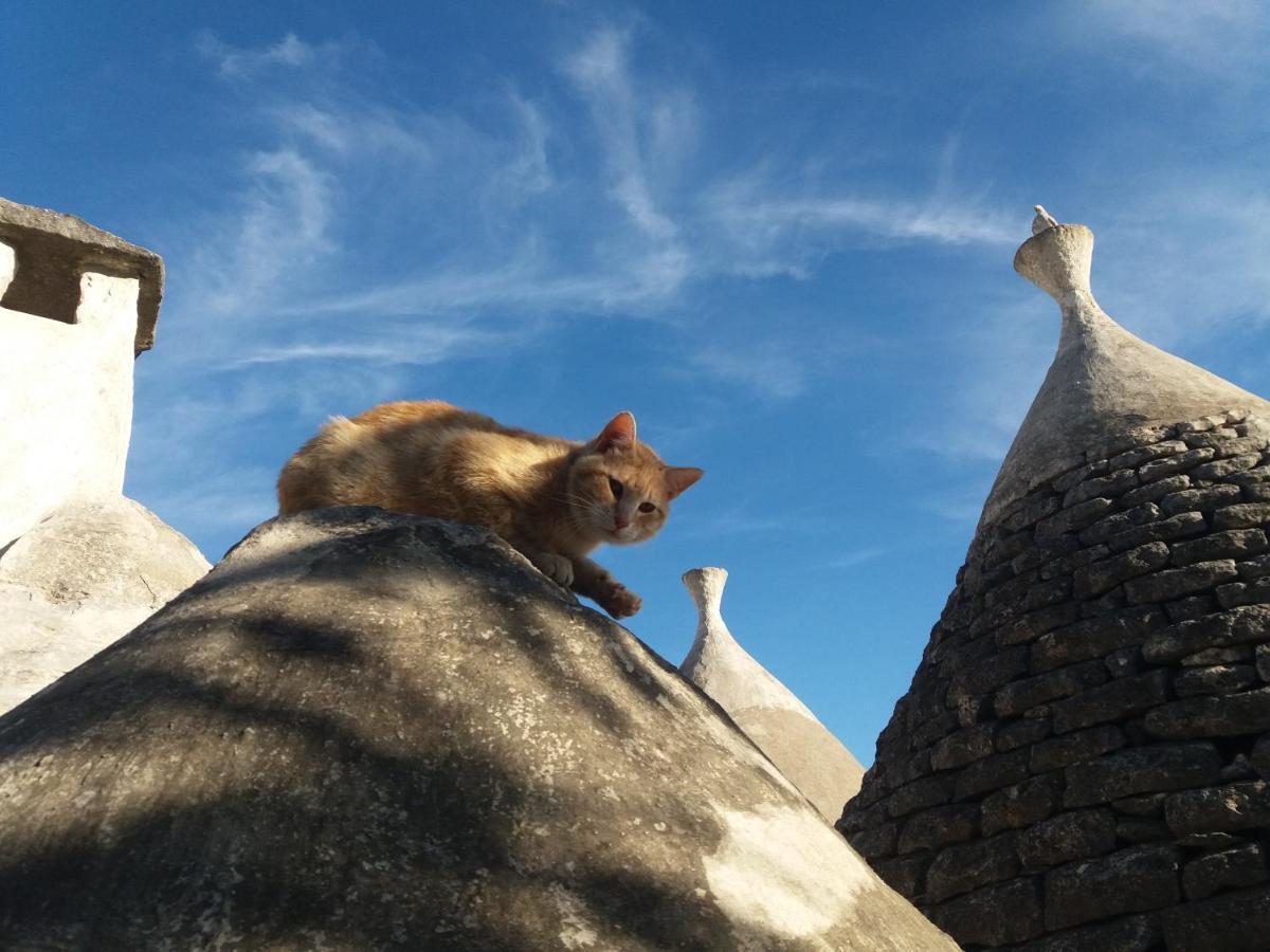 Trulli Di Puglia - Casa Vacanze In Valle D'Itria マルティナ・フランカ エクステリア 写真