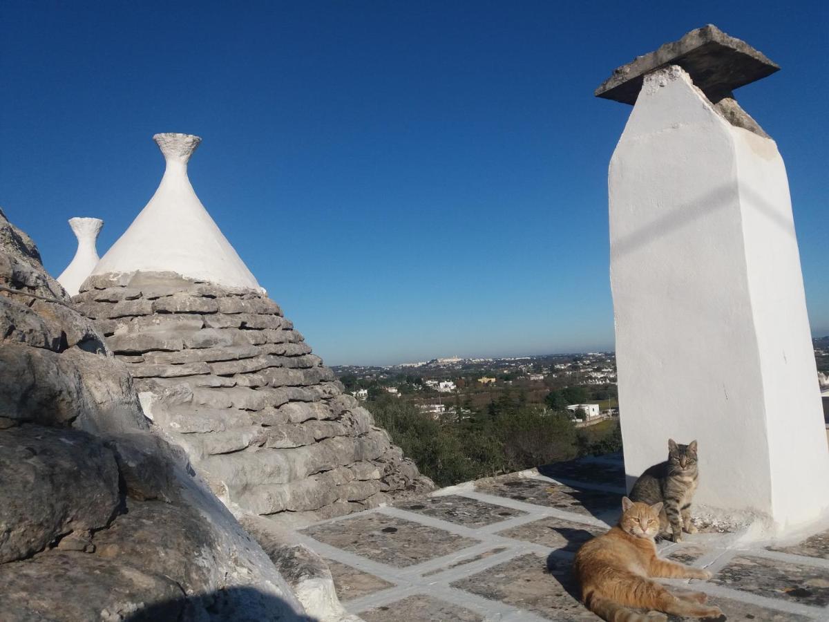 Trulli Di Puglia - Casa Vacanze In Valle D'Itria マルティナ・フランカ エクステリア 写真