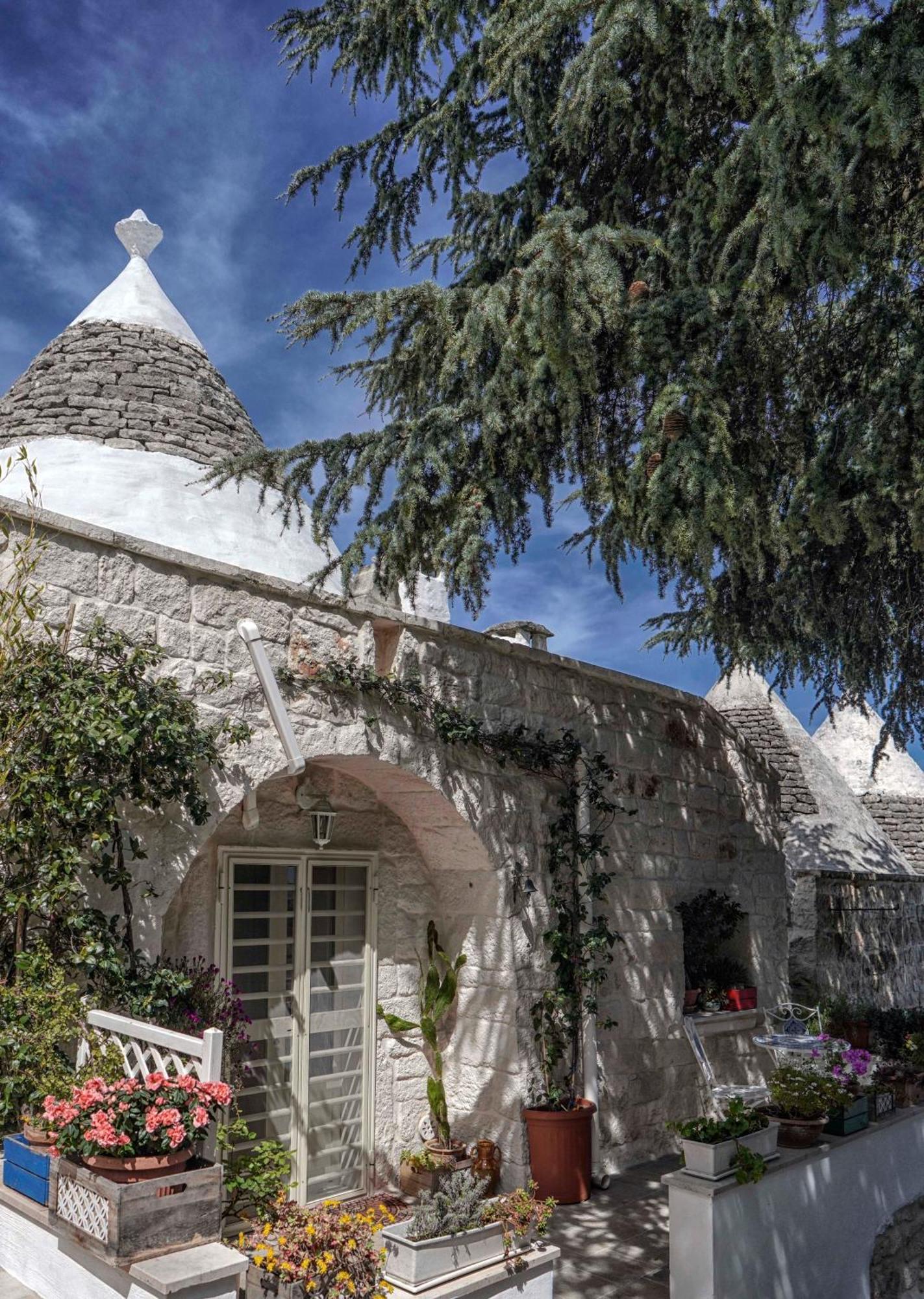 Trulli Di Puglia - Casa Vacanze In Valle D'Itria マルティナ・フランカ エクステリア 写真